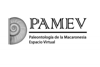 Pamev